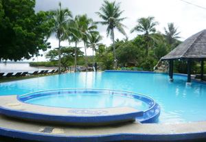 怎樣用吸污機對泳池有效去污？